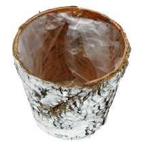 Article Pot bouleau petite jardinière bouleau blanc Ø10cm H8,5cm 6 pcs