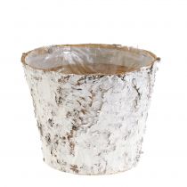 Article Lot de 3 pots décoratifs en écorce de bouleau blanchie Ø15 cm H12,5 cm