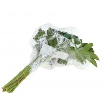 Article Feuille Philodendron 31cm Vert 12 pcs