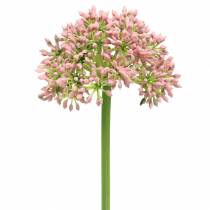 Allium artificiel Rose 55cm
