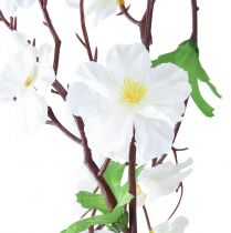 Article Guirlande de fleurs guirlande de fleurs artificielles fleurs blanches 160cm