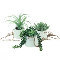 Paniers suspendus plantes succulentes artificielles vertes assorties 18cm 3pcs