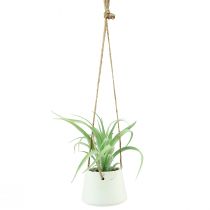 Article Paniers suspendus plantes succulentes artificielles vertes assorties 18cm 3pcs