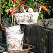 Article Petit pot de fleurs en métal coloré Fresh Garden H16cm 2pcs