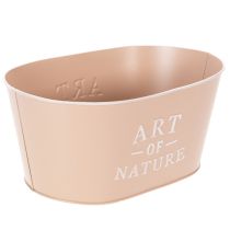 Article Coupe ovale en zinc, rose antique, pot de fleurs, 27 × 18 cm, H 12,5 cm