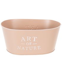Article Coupe ovale en zinc, rose antique, pot de fleurs, 27 × 18 cm, H 12,5 cm