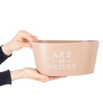 Article Coupe ovale en zinc, rose antique, pot de fleurs, 27 × 18 cm, H 12,5 cm