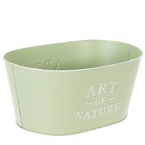 Article Coupe à fleurs ovale en zinc vert menthe 27×18cm H12,5cm