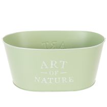 Article Coupe à fleurs ovale en zinc vert menthe 27×18cm H12,5cm