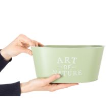 Article Coupe à fleurs ovale en zinc vert menthe 27×18cm H12,5cm