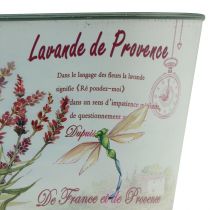 Article Bol à fleurs ovale pot de fleur lavande plastique 21,5×12,5cm H11cm