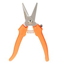 Article Ciseaux à fleurs en acier inoxydable et manche orange 19 cm pour floristique