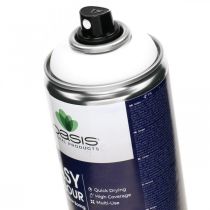 OASIS® Easy Color Spray, peinture en aérosol blanche, décoration d&#39;hiver 400ml