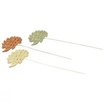 Article Bouchon de fleur bouchon décoratif en bois décoration hérisson coloré 10x7cm 18 pcs