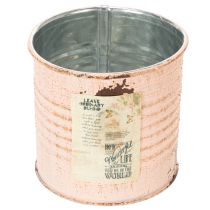 Article Pot de fleurs décoratif, motif saumon, boîte à herbes en métal, Ø8 cm, H7,5 cm