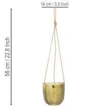 Article Pot de fleurs/lanterne suspendue en verre, violet/vert, 14 cm, lot de 2