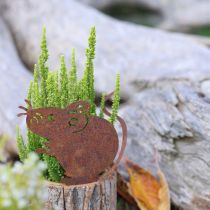 Article Pot de fleurs en bois écorce et rouille souris H24cm