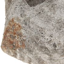 Article Pot de fleurs coquillage pierre gris antique maritime 22×18×13cm