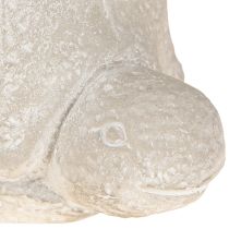 Article Pot de fleurs tortue décoration béton gris blanc 15,5 cm 2 pièces