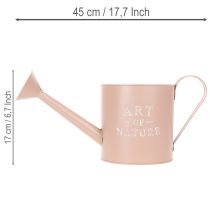 Article Pot de fleurs/arrosoir décoratif vintage, zinc rose antique, Ø 16,5 cm H 17 cm
