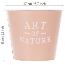 Article Pot de fleurs en zinc "Art of Nature" rose ancien Ø17,5 cm H15 cm