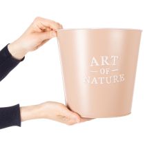 Article Lot de 2 cache-pots ronds en acier galvanisé 22 cm, vert et rose pastel