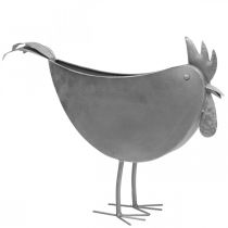 Article Cache-pot poulet métal oiseau zinc décoration métal 51×16×37cm