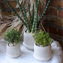 Cache-pot en céramique à rainures blanc Ø14.5cm H12.5cm