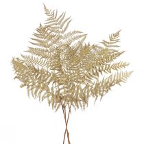 Article Fleurs séchées fougère décorative feuilles de fougère séchées 70cm 10 pcs