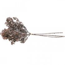 Article Plantes artificielles marron décoration d'automne décoration d'hiver Drylook 38cm 3 pcs