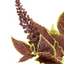 Article Kolistemon artificiel 20 cm avec feuilles rouges en plastique pour décoration intérieure