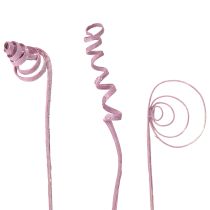 Article Assortiment de décorations séchées en canne 30cm 75pcs