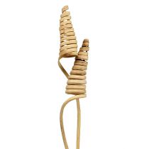 Article Cône de canne naturel 25 pcs