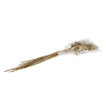 Article Cône de canne naturel 25 pièces