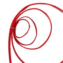 Article Déco exotique Rouge 40-50cm 25pcs