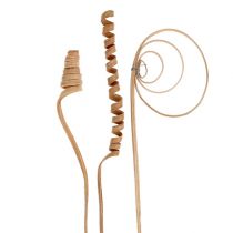 Article Assortiment de cannes mini naturelles 75 pièces