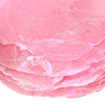Article Coquillages déco Capiz Rose 5 cm - 8 cm Mélange 60 pièces