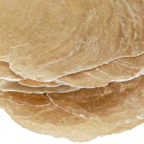 Article Capiz Déco coquillages Couleur or et naturel Assortis 60 pièces