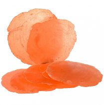 Article Coquilles de Capiz Tranches de Capiz tranches de nacre orange 7,5–9,5 cm 300g