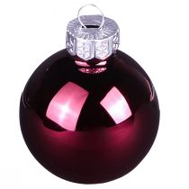 Article Boules de sapin de Noël boules de sapin en verre Berry Mix Ø5cm 24 pcs Berry rose beige crème brillant
