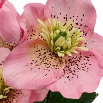 Rose de Noël, rose lenten, ellébore, plantes artificielles rose L34cm 4pcs