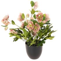 Article Hellébore artificielle en pot, rose de Noël, pour la décoration intérieure, 50 cm