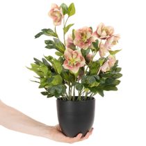 Article Plante artificielle Hellébore en pot - 50 cm - Décoration intérieure