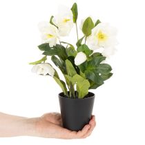 Article Rose de Noël artificielle, plante en pot, décoration de table, 34 cm