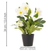 Article Rose de Noël artificielle, plante en pot, décoration de table, 34 cm
