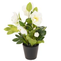 Article Rose de Noël artificielle, plante en pot, décoration de table, 34 cm