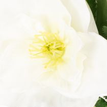 Article Kunstblume Hellebore blanche en bouquet, 36 cm