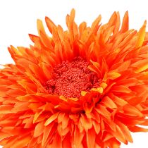 Chrysanthème Teddy 63 cm orange