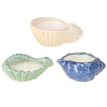 Article Bougie citronnelle Bougeoir céramique coquillage Extérieur 3pcs