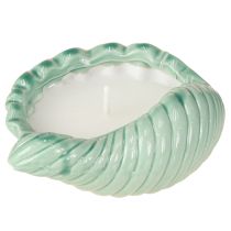 Article Bougie citronnelle Bougeoir céramique coquillage Extérieur 3pcs